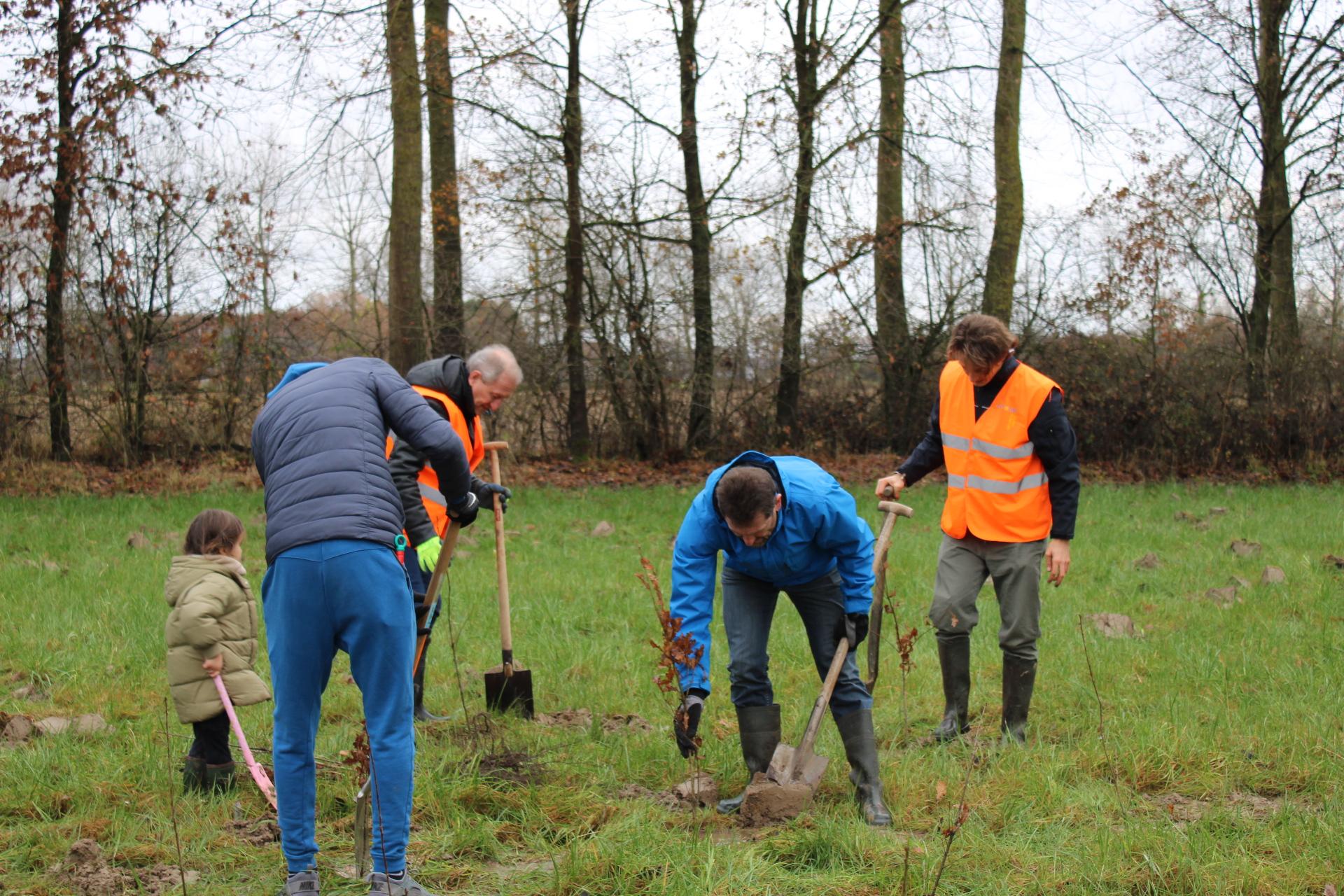 boomplantdag Geetbets
